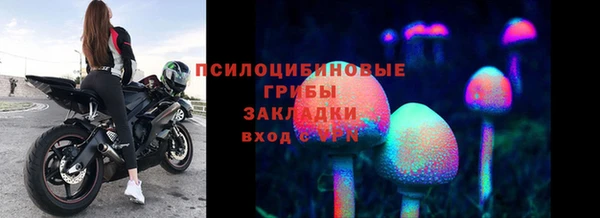 ECSTASY Алексеевка