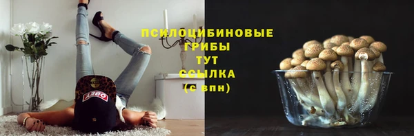 прущие крисы Алексин