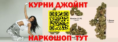 стафф Моздок