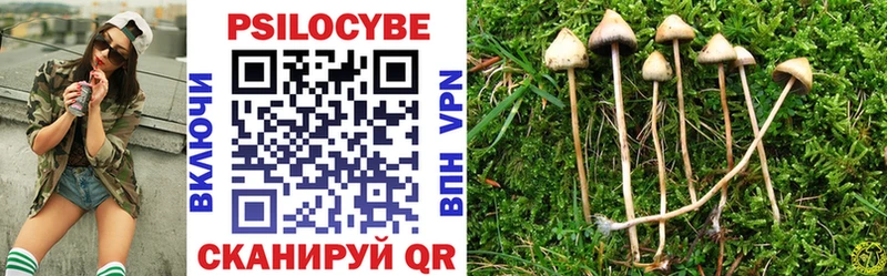 ссылка на мегу зеркало  Боровичи  Псилоцибиновые грибы прущие грибы  наркота 