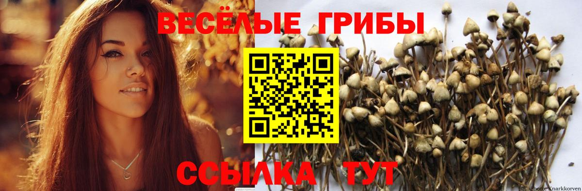 купить  цена  Вход с VPN  Галлюциногенные грибы ЛСД  Боровичи  Галлюциногенные грибы MAGIC MUSHROOMS 