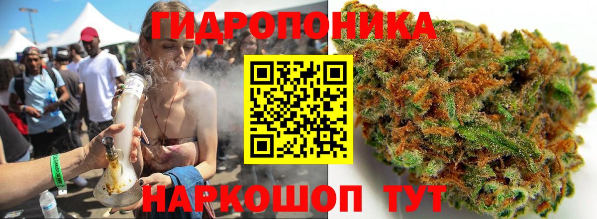 Конопля марихуана Боровичи